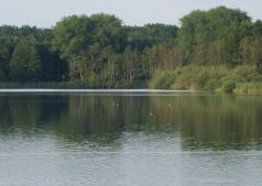 Norder Teich